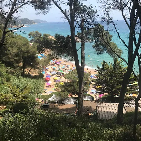 Panorama 360