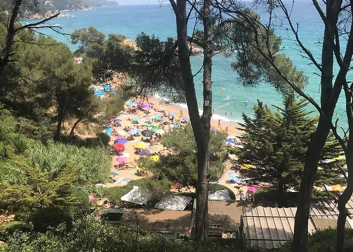 Panorama 360